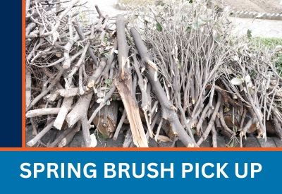 SPRING BRUSH PICK UP 