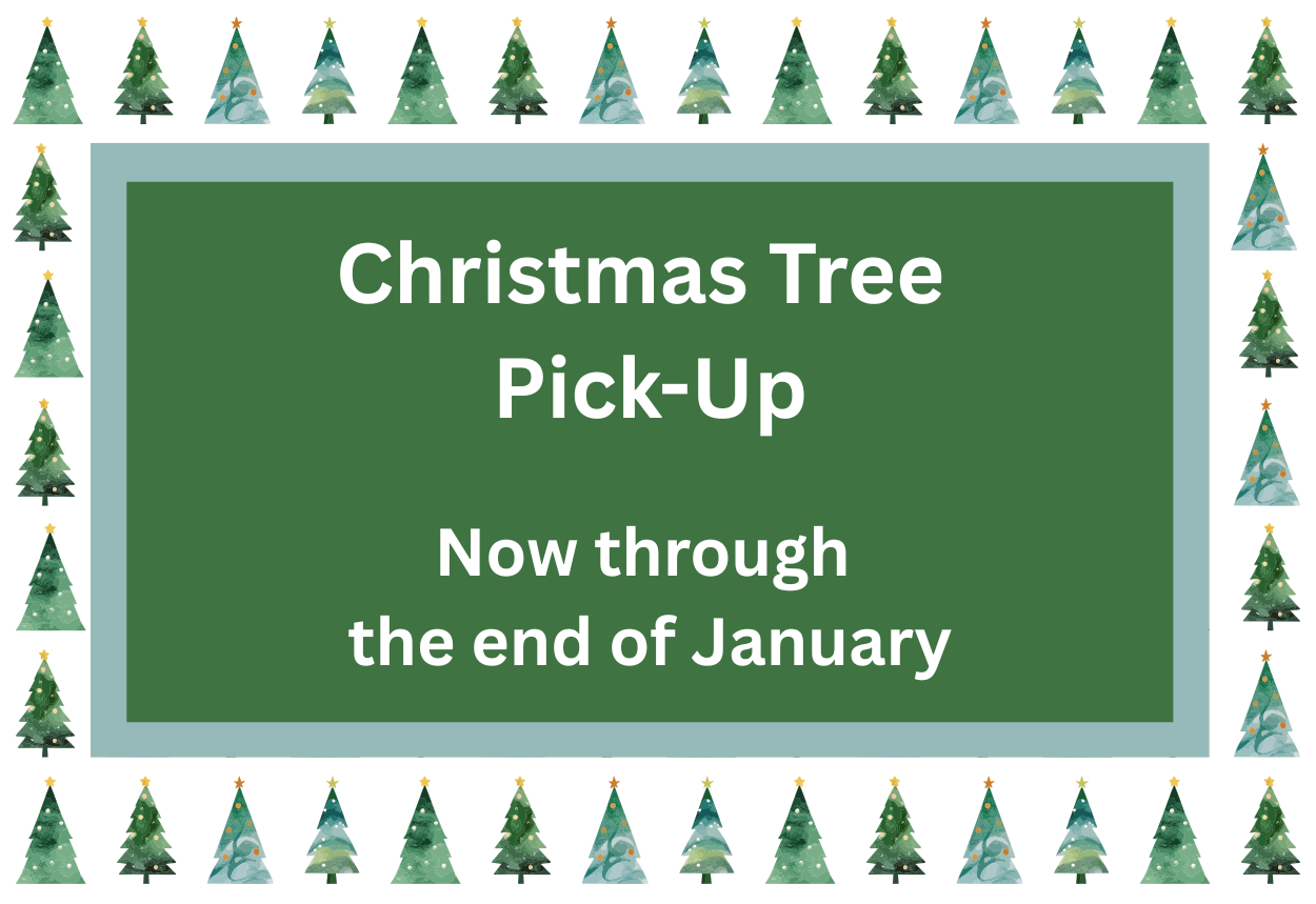 Christmas Tree Pick-Up Now through January 31