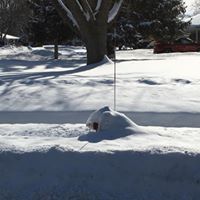 Fire Hydrant Not shoveled.jpg