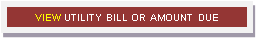 View Utility Bill or Amount Due.png