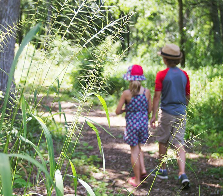 Children Walk Through Wooded Area