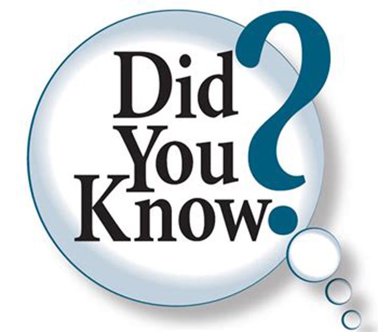 Did you know for web