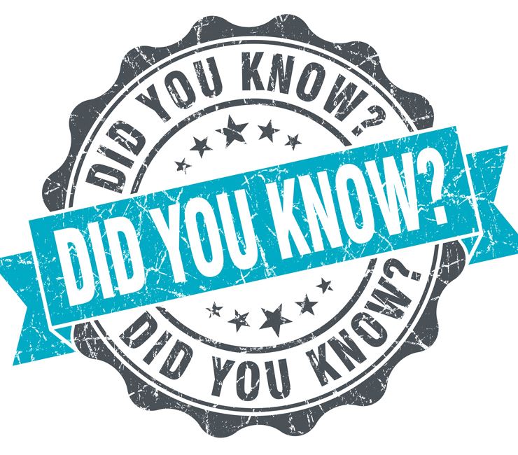 Did You Know 2 sized