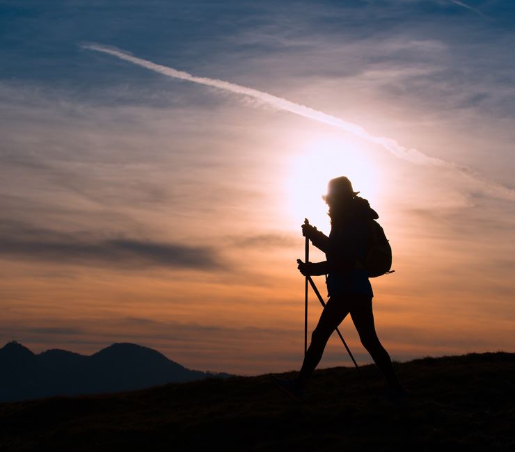 shutterstock_364982783