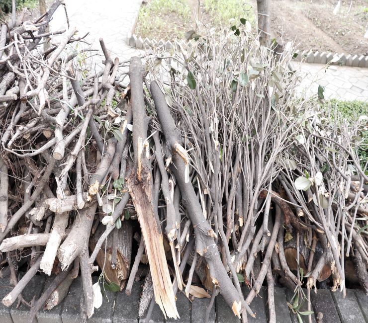 shutterstock_2127754634