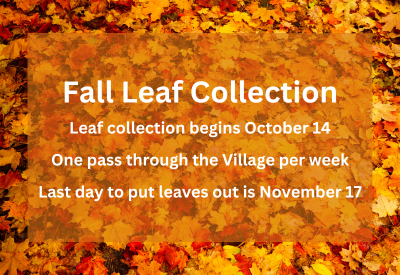 Orange White Photo Leaves Autumn Quote Instagram Story